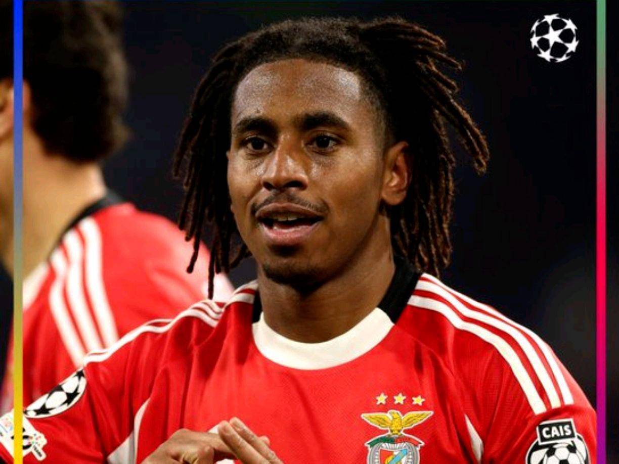 葡超本菲卡比赛录像-开云官网