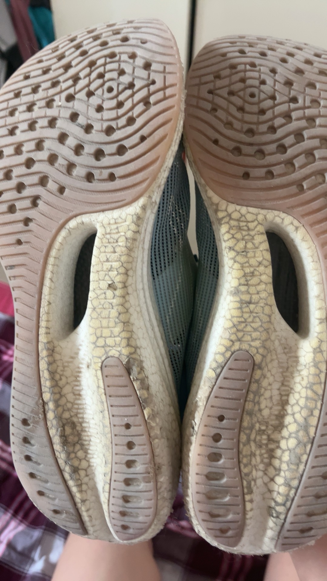 ?,壀鄎腱(髌腱是什么部位延续而成)-开云入口